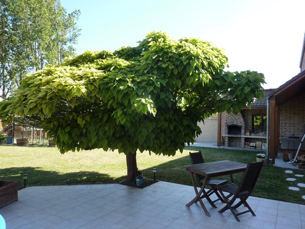La Parenthese Villa La Couture  Ngoại thất bức ảnh